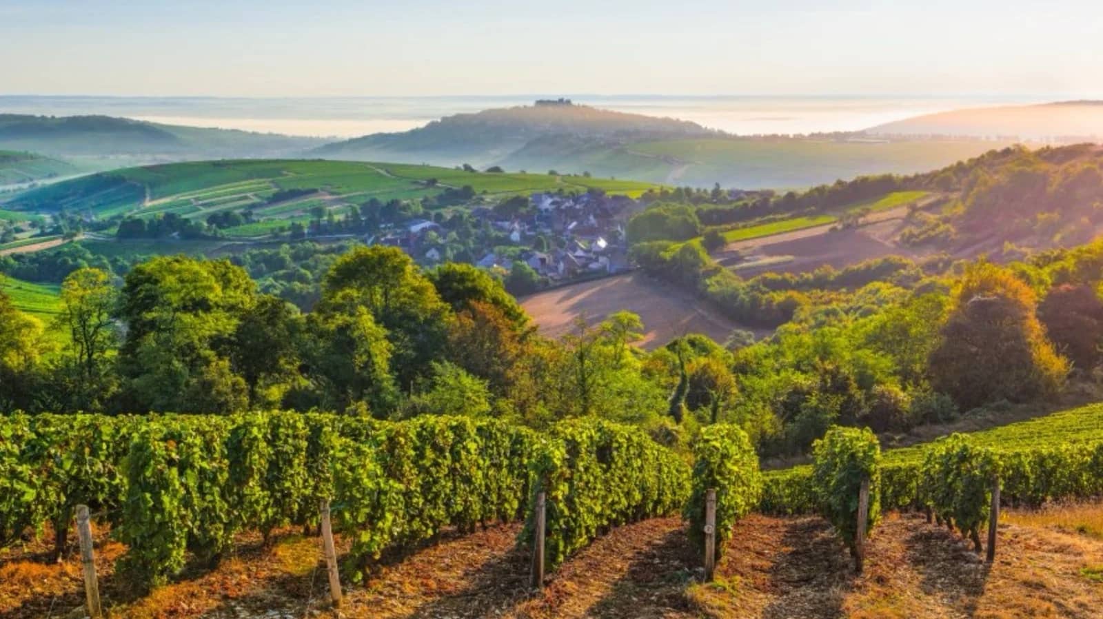 WEEK-END DÉCOUVERTE DE SANCERRE 🥾🚲🍇🍂