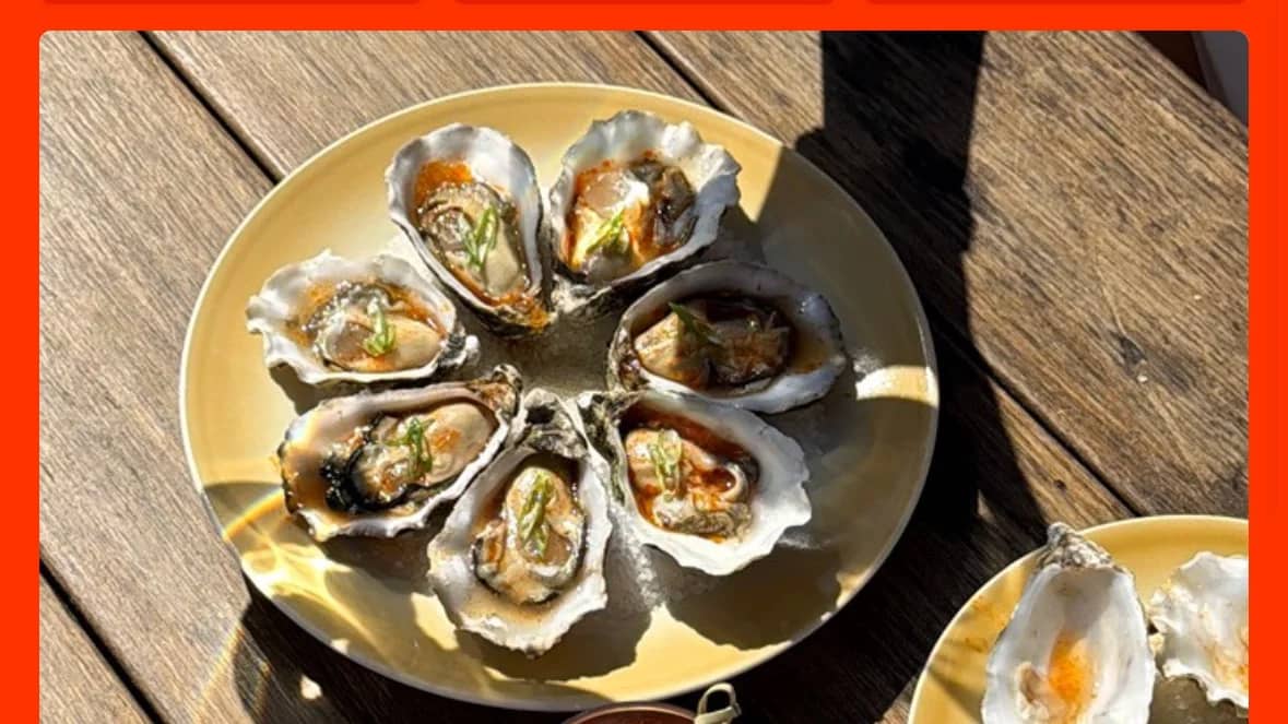 🦪 Join Us for Oyster Sunday in Amsterdam! 🥂
