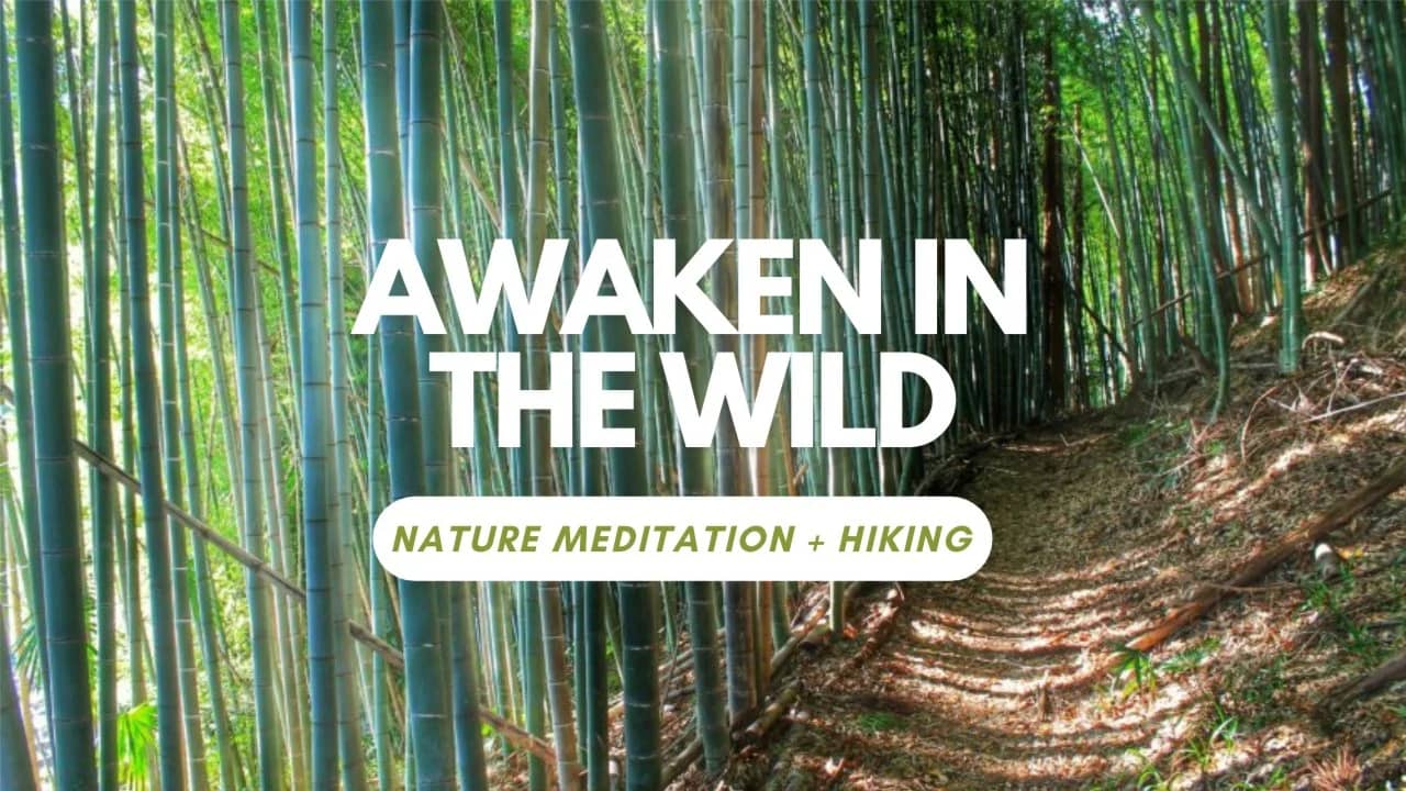 🌲 Hike & Meditate in Nature: Ome Trail