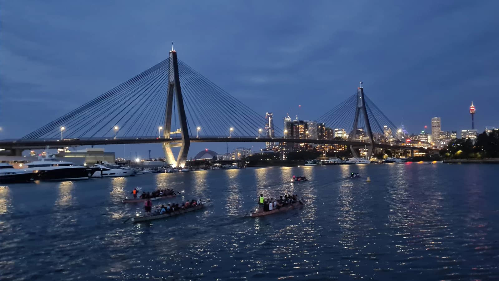 Newtown via Blackwattle Bay - Tuesday evening walk.