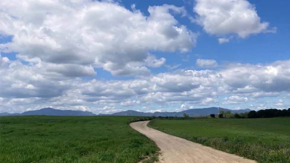 🍂 Paseo otoñal por el Gallecs 🌾 + picnic 🧺
