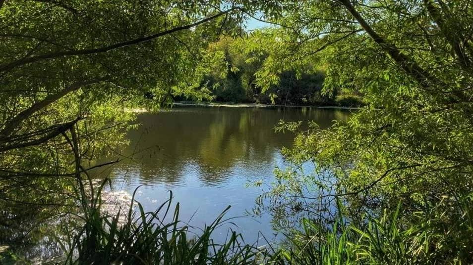 Dollis Valley Greenwalk