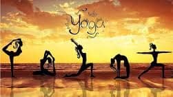 In Person: Beginner Yoga with Kirstin H.