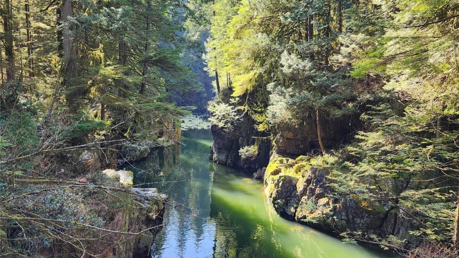 Capilano River Regional Park Loop: Intermediate