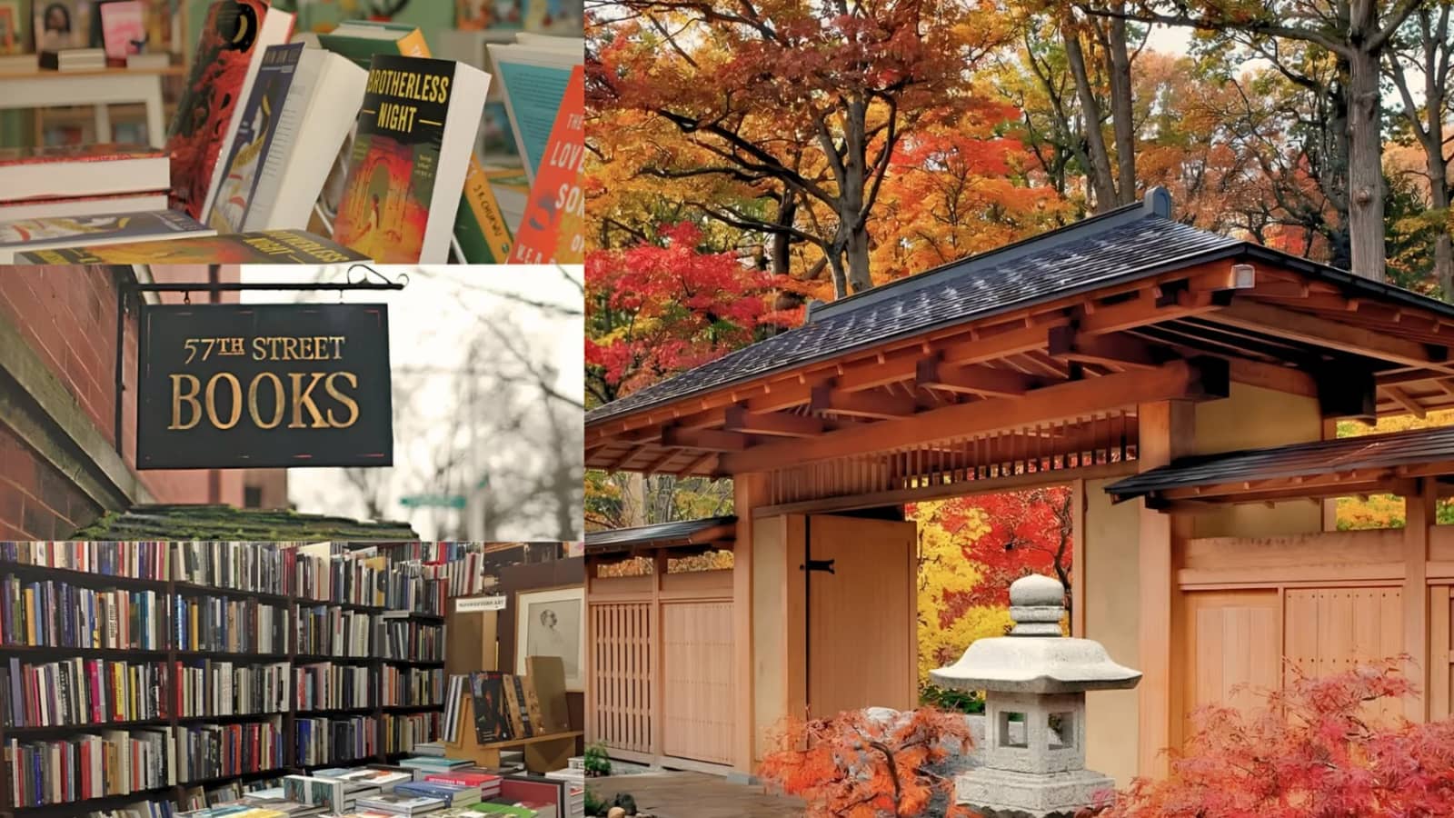 Hyde Park Book Crawl + Osaka Garden 📚🌸