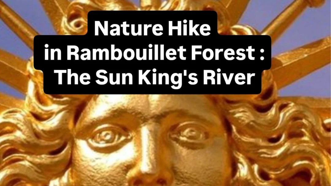 Randonnée Nature forêt de Rambouillet : La Rivière  du Roi Soleil  15/16 km