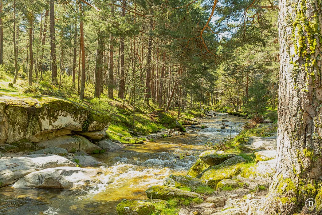 Senda de las Pesquerías Reales y picnic