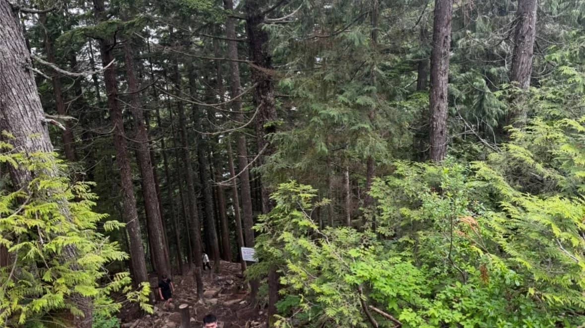 🥾 Annual Grouse Grind Hike