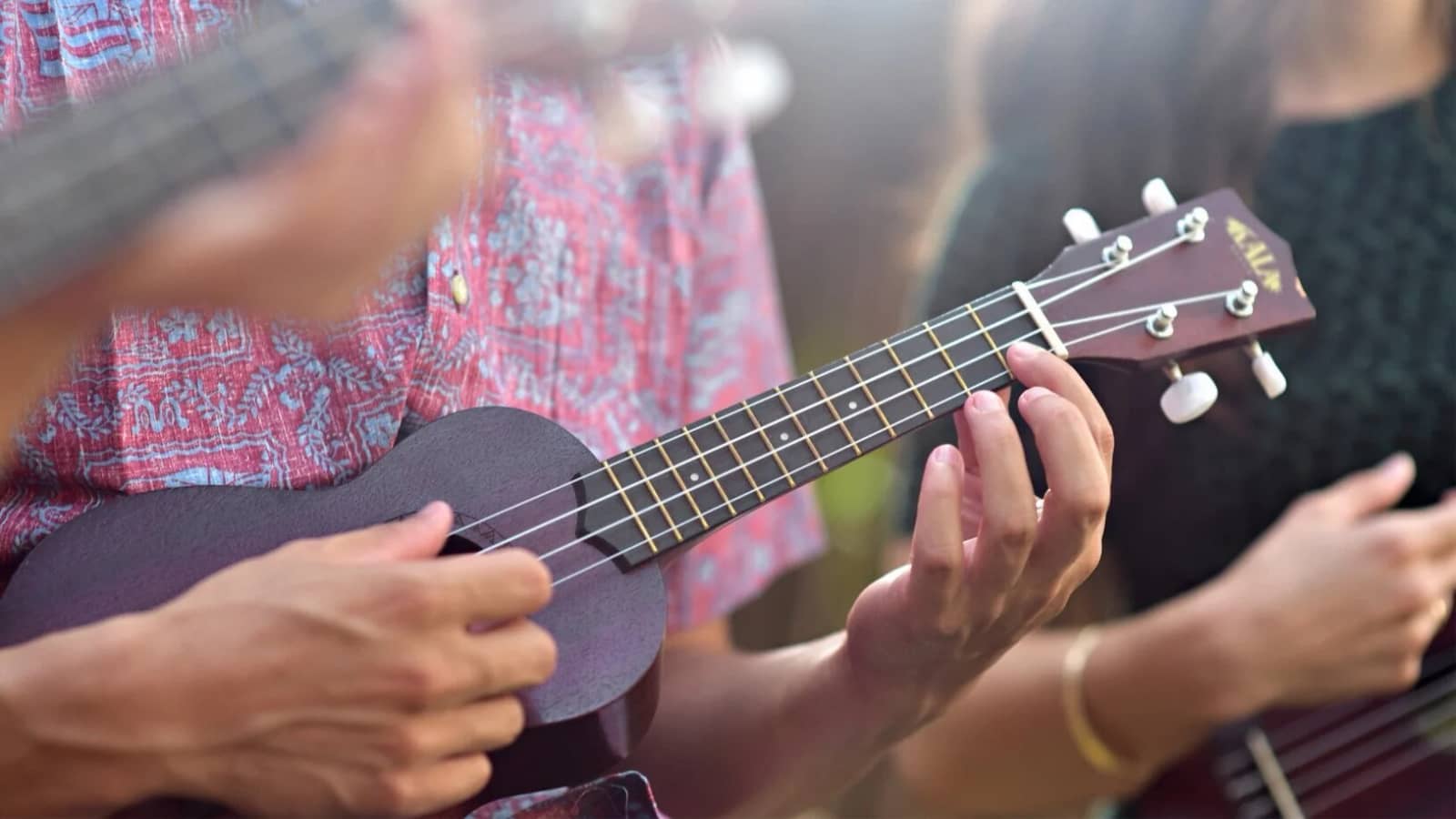Ukulele course for beginners October 2026!