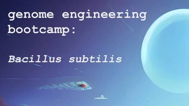 Genome Engineering Bootcamp: Bacillus subtilis
