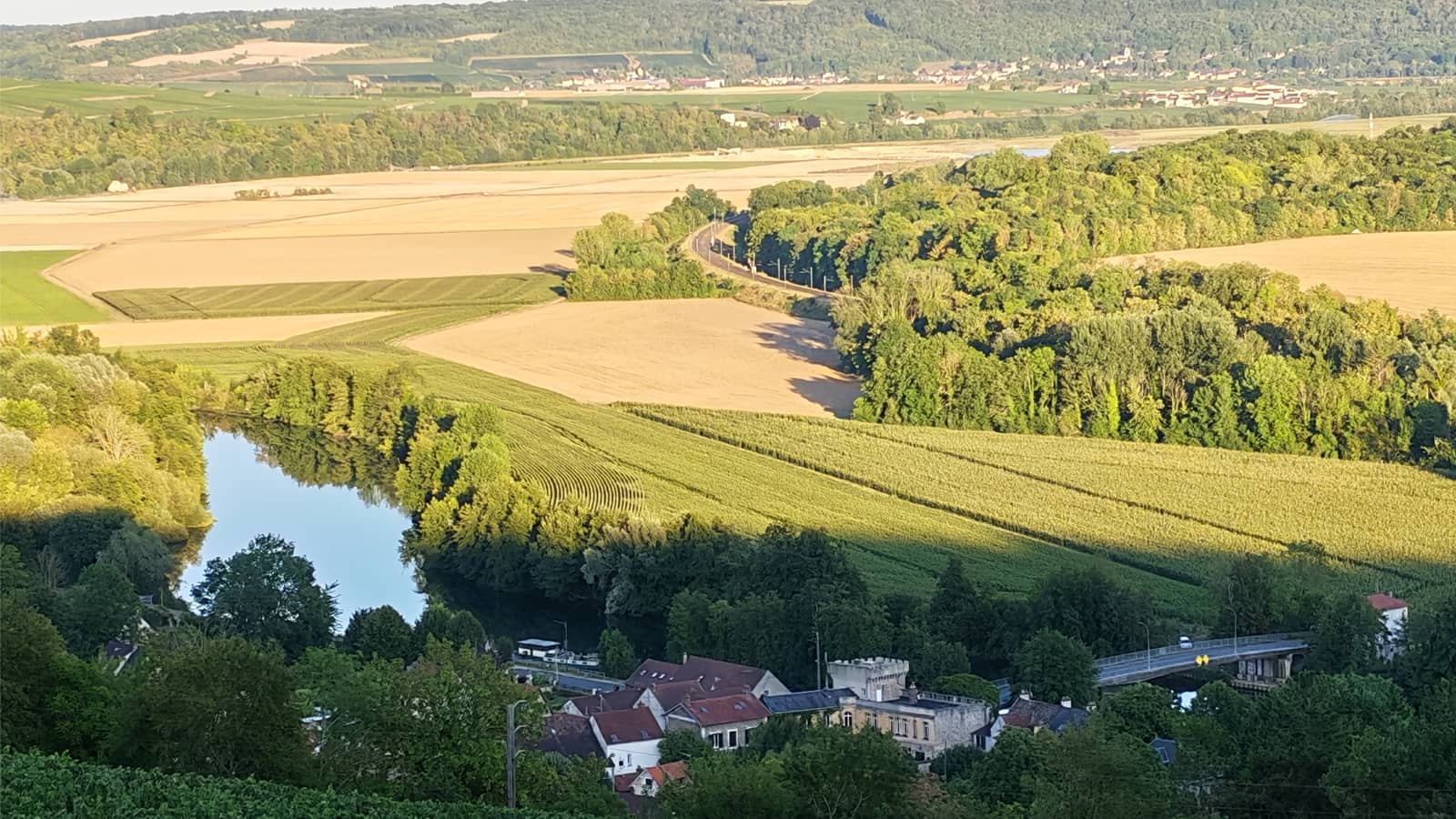 🥾🍇 𝘎𝘳𝘢𝘱𝘦 𝘌𝘴𝘤𝘢𝘱𝘦 Bilingual Hike: Champagne Vineyards, Seine-et-Marne