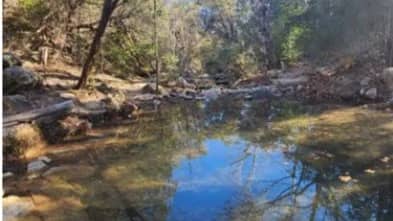Her Adventure hike for women (trans and non-binary inclusive) - Turkey Creek