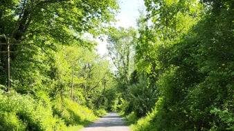 Lorimer Park and Fox Chase Farm (4 miles)
