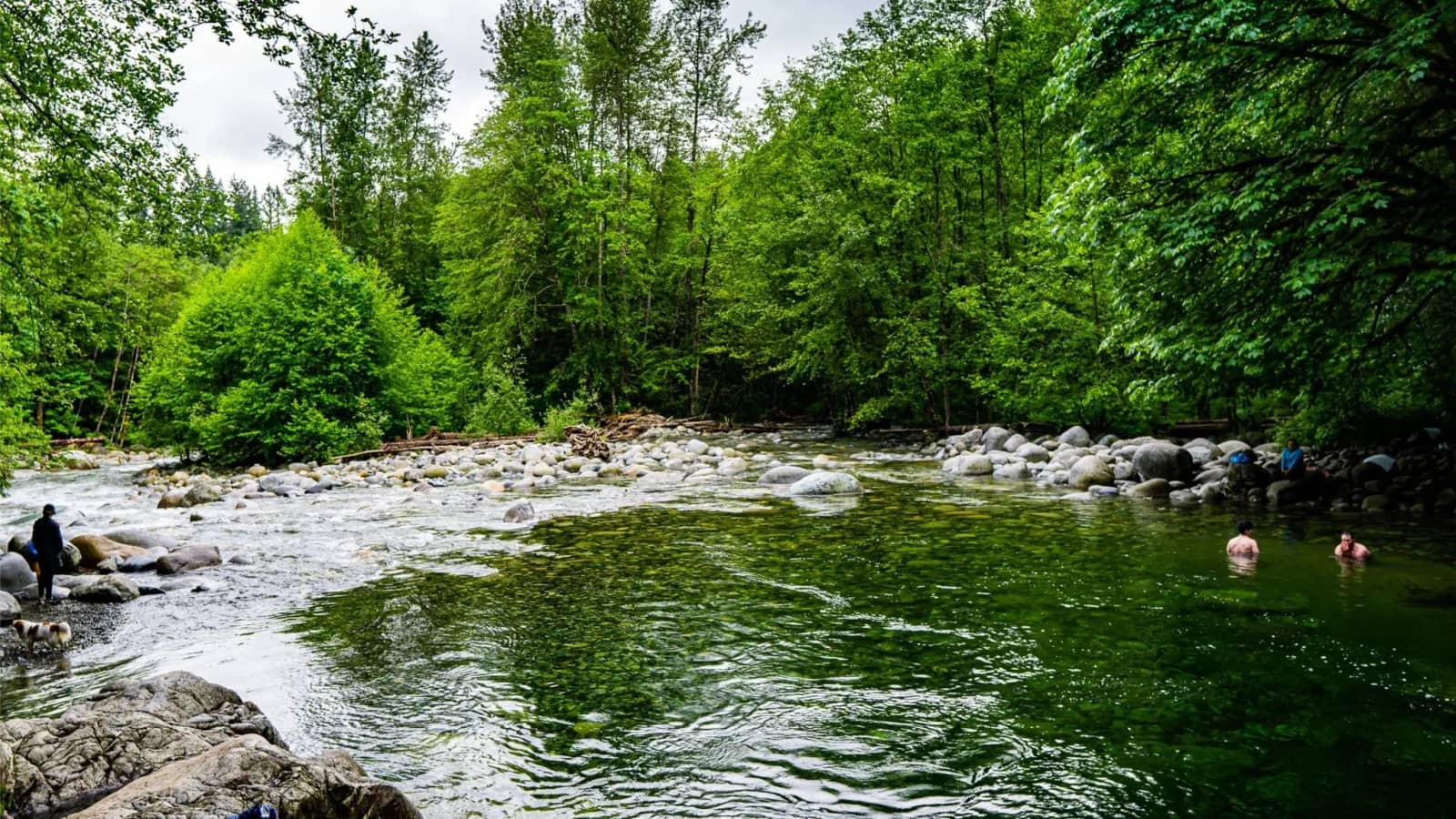 Annual Lynn Canyon Park Hiking