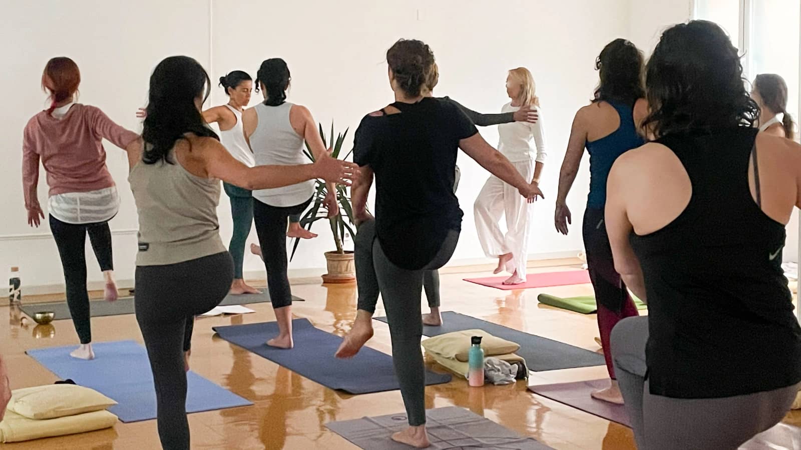 Clases de Sama Yoga+ Sesión de Terapia Mística. Aportación libre
