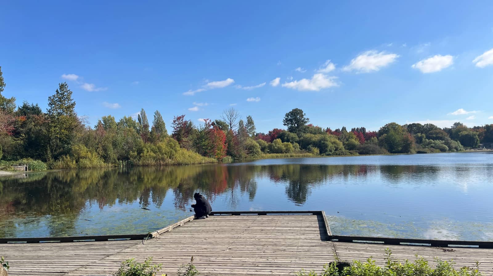 Let’s paint at John Hendry Park, Trout Lake