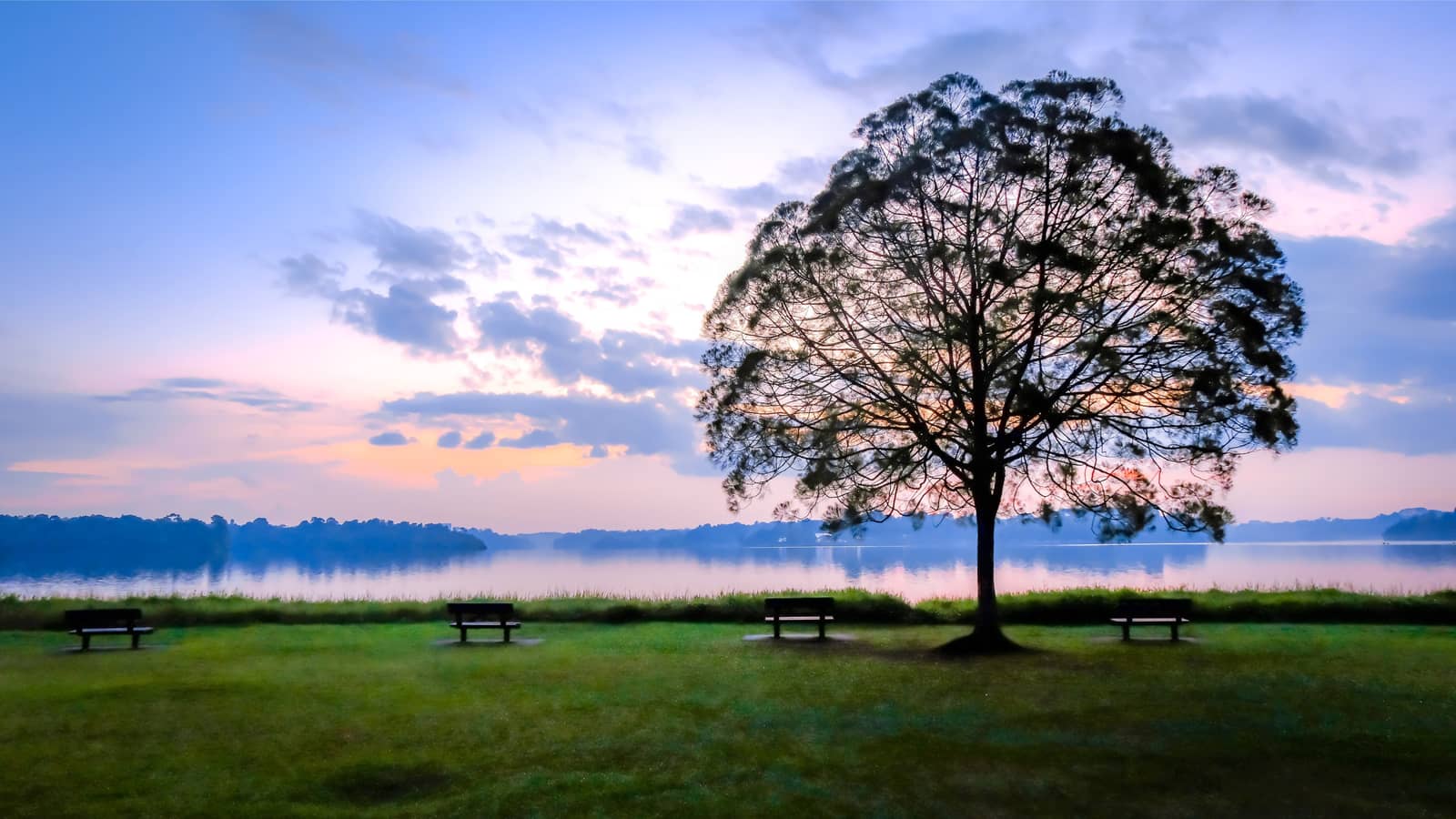 Seletar Reservoirs Walk