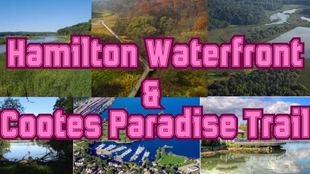 🌊 Hamilton Waterfront & 🌿 Cootes Paradise Trail Adventure- 2 Meetup Times!