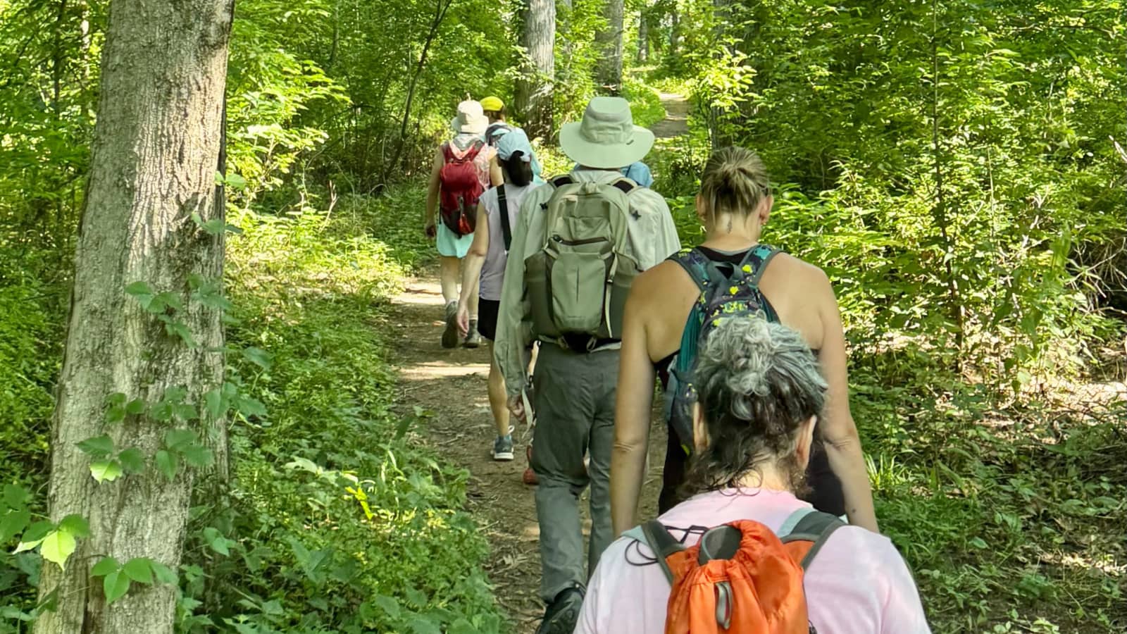 Afternoon Wissahickon Yellow Trail Trek - 6 miles