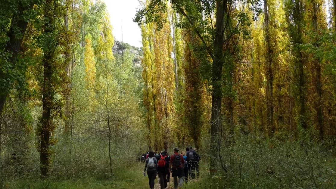 🍂HOCES DEL DURATÓN y ASADO SEGOVIANO (Sábado 17 Octubre)🍂