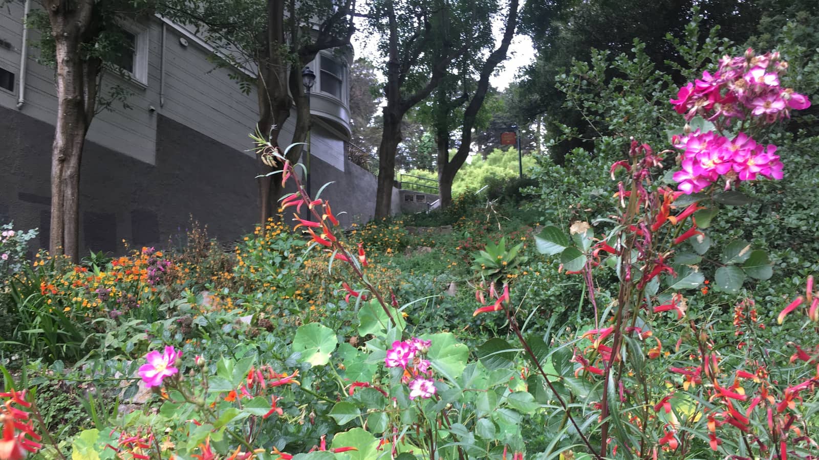 Adah's Stairway Community Volunteer Workday