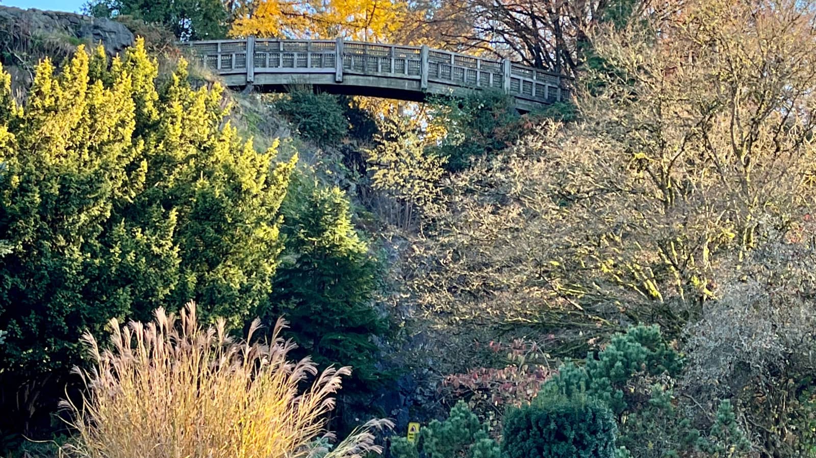 Let's paint the fall colours at Queen Elizabeth Park!
