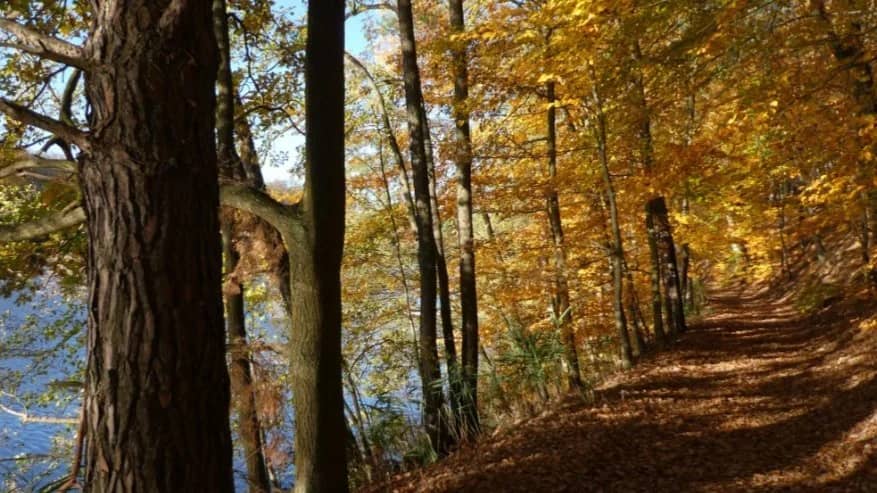 Schlaubetal Wild South: The Ultimate Autumn Hiking Adventure