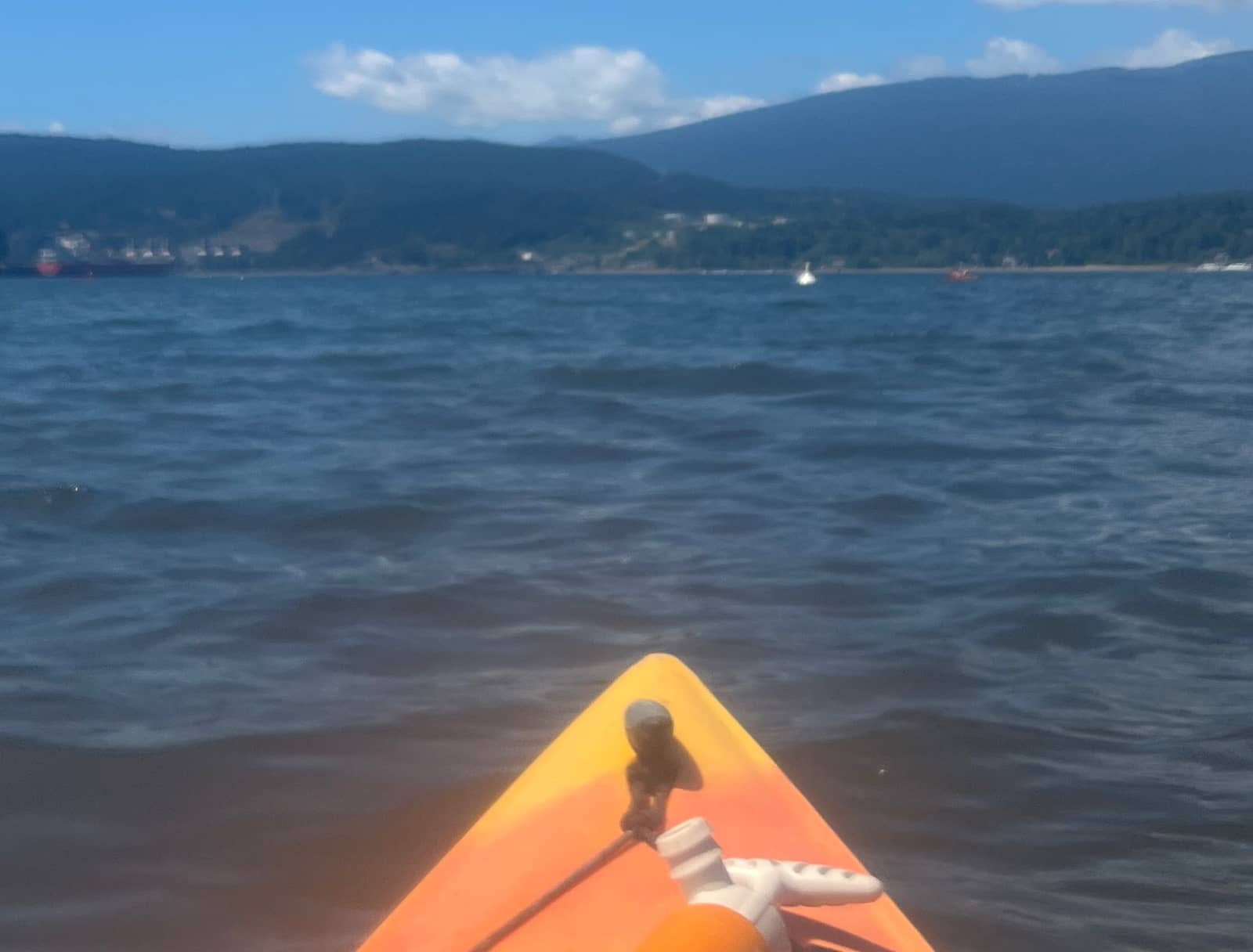 After Hours - Kayak & Bites