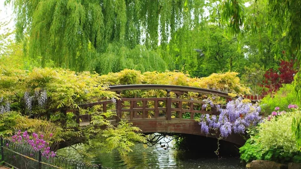 Sketchbook: Regent’s Park Japanese Garden Island