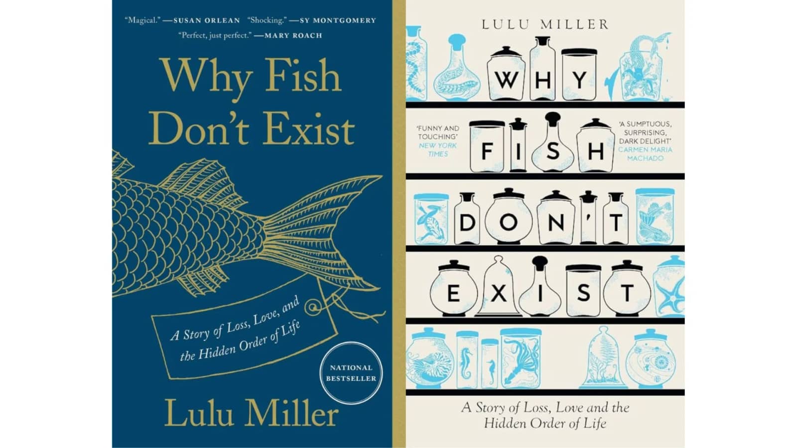 [Book Club] Why Fish Don't Exist by Lulu Miller