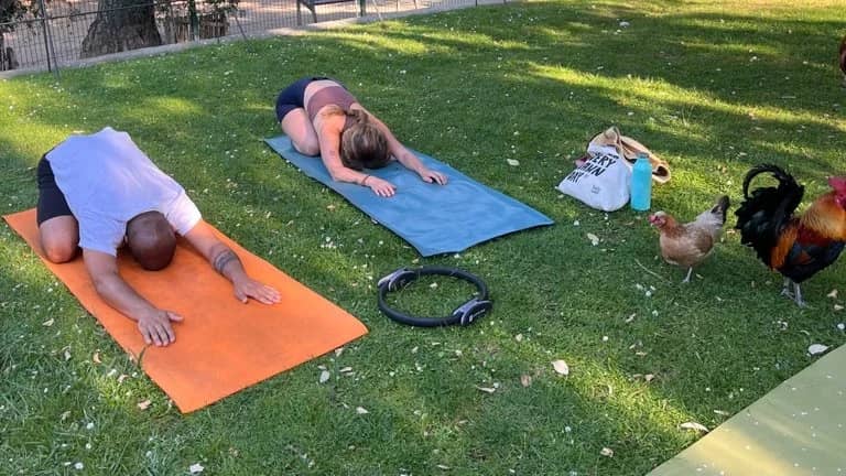 Pilates @Chicken Park 🐓