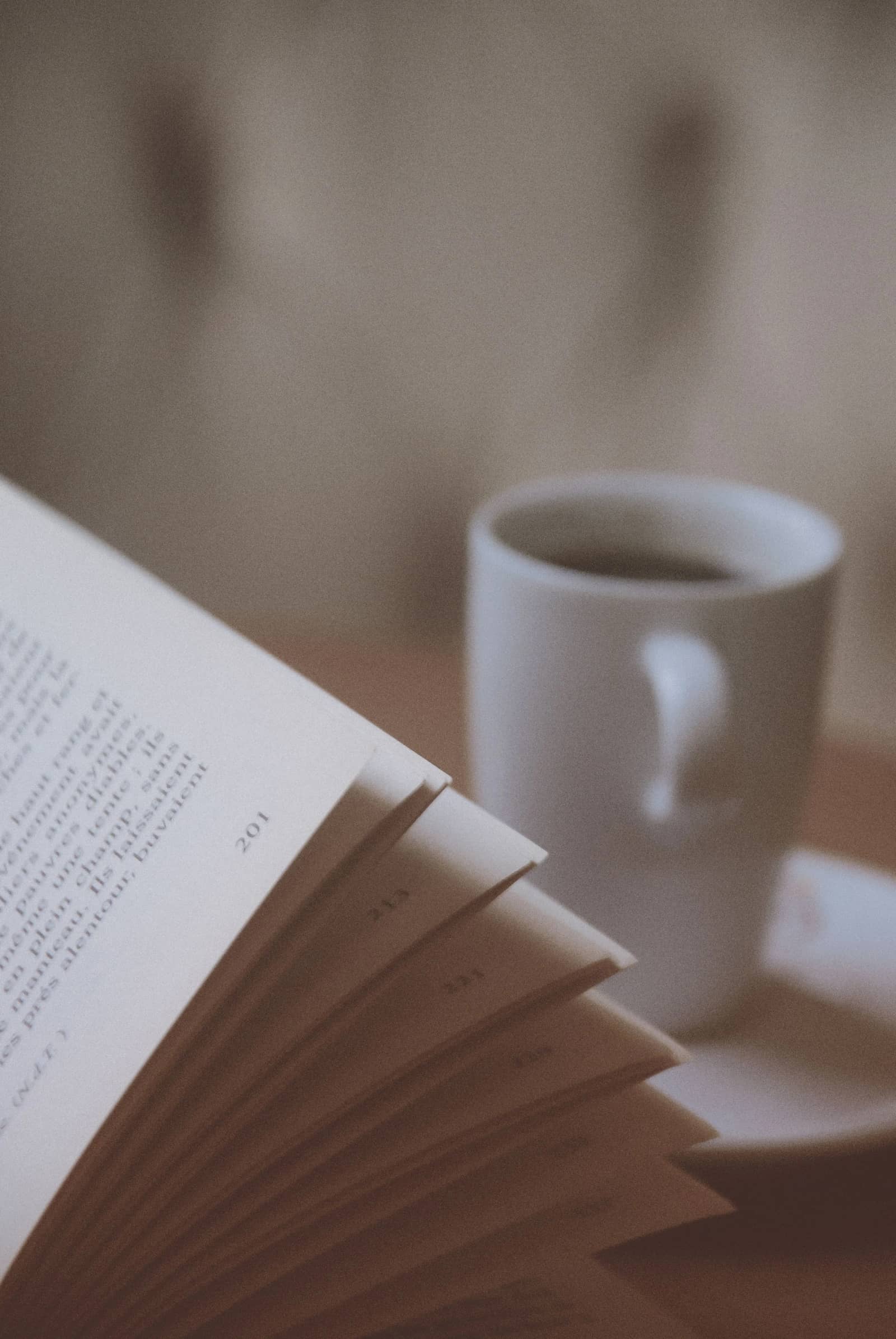 Rencontre Club de Lecture de Romances 💕