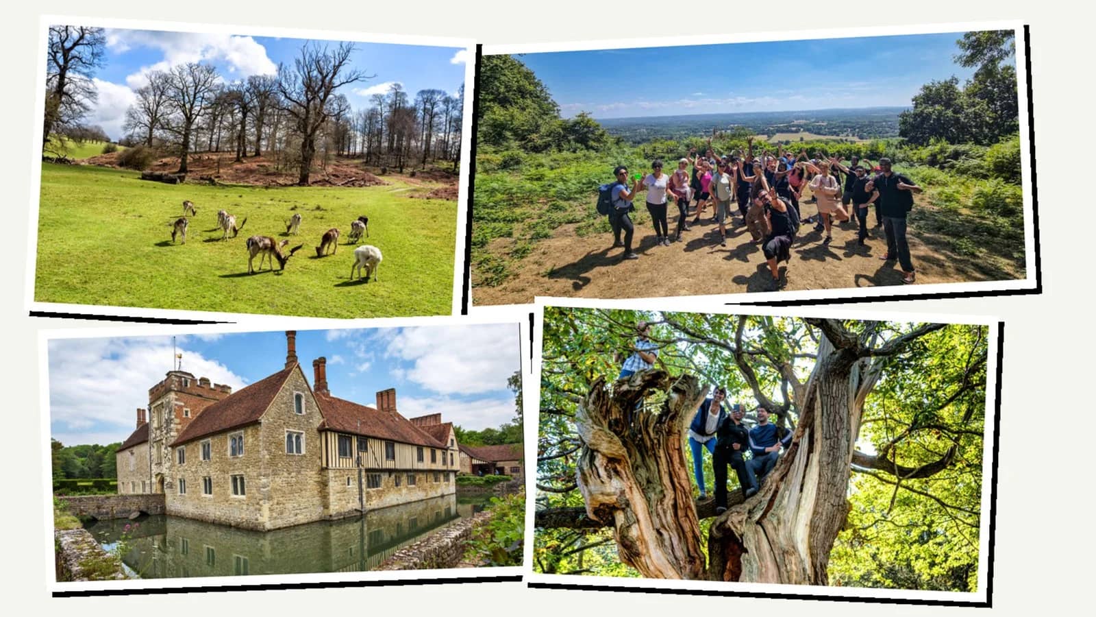 HIKE 18km 🦌 Knole Deer Park, Medieval Manor & the Kent Downs