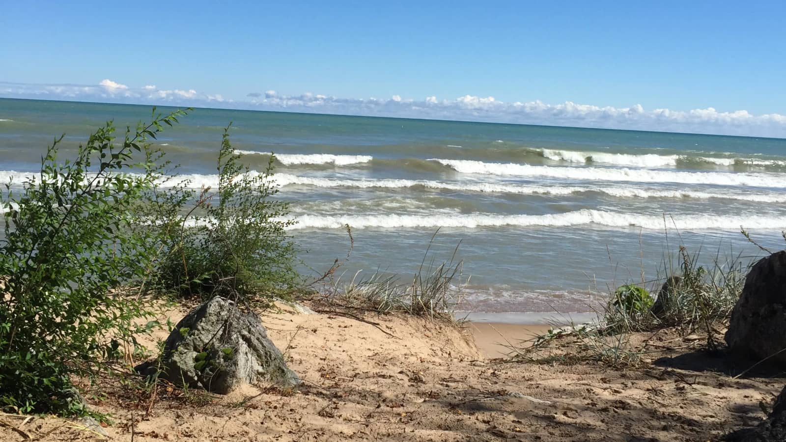 Dempster/Greenwood Beach cleanup