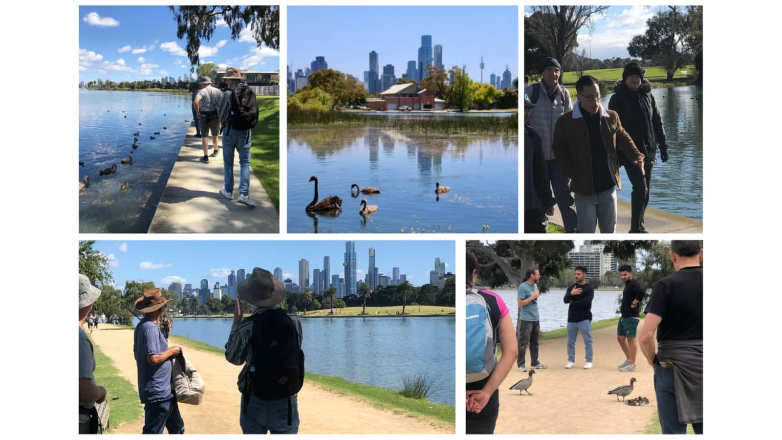Nature Walk and Bird Watching at Albert Park Lake with Coffee & Conversation