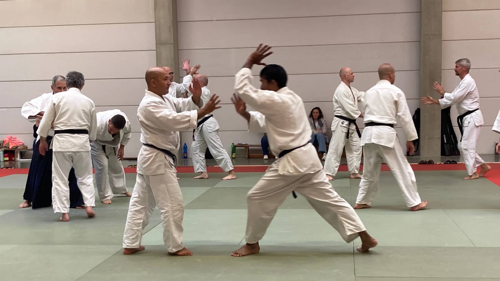 Free Aikido Trial Class