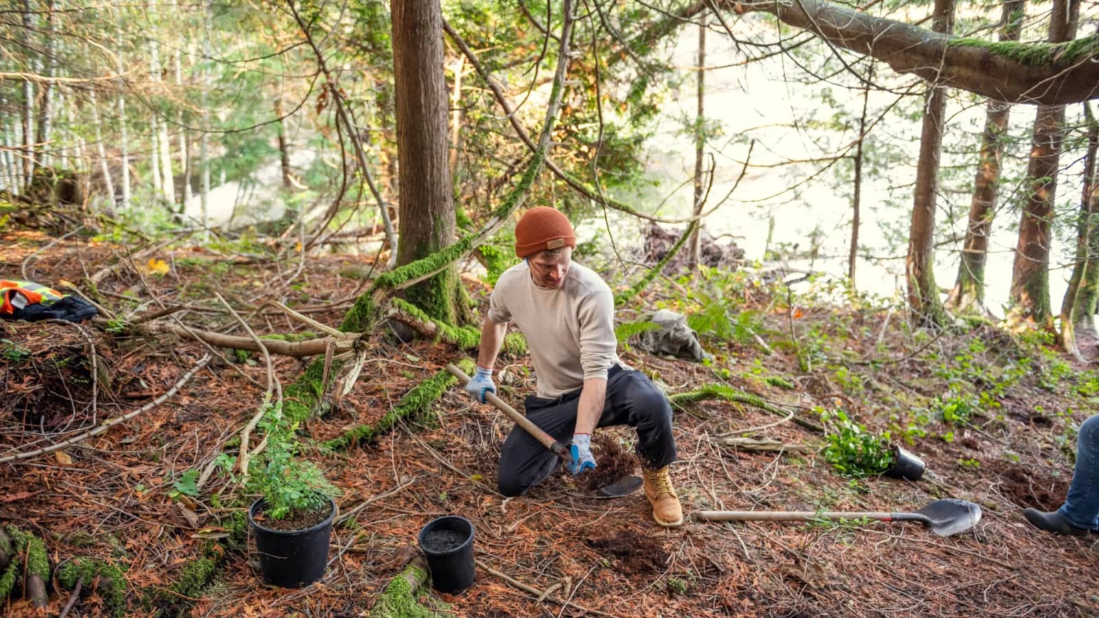 Eco Blitz - Native Planting at Crippen Regional Park