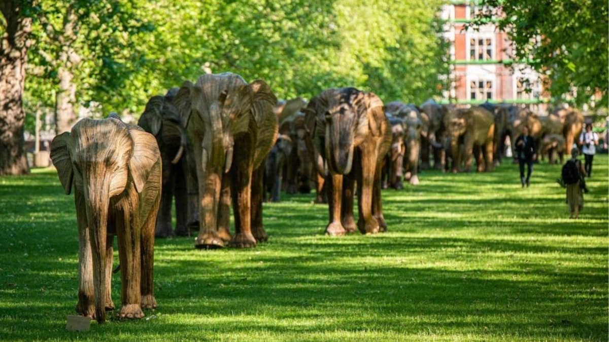 The Great Elephant Migration at Commonwealth Avenue Mall and UnCommon Garden