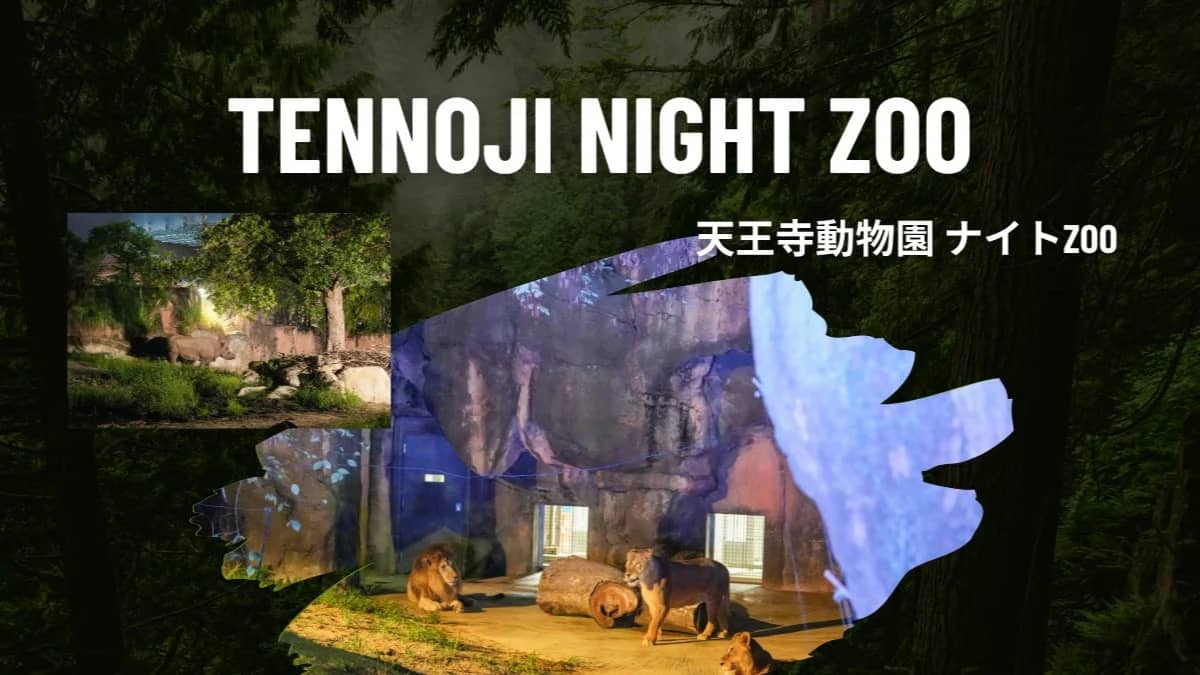 Tennoji Night Zoo Adventure🦁  New Areas!✨ Elephant Village & Polar Bear Coast🐘