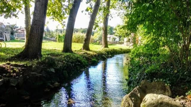🌞🌿 FAGEDA D'EN JORDÀ PER LA MOIXINA