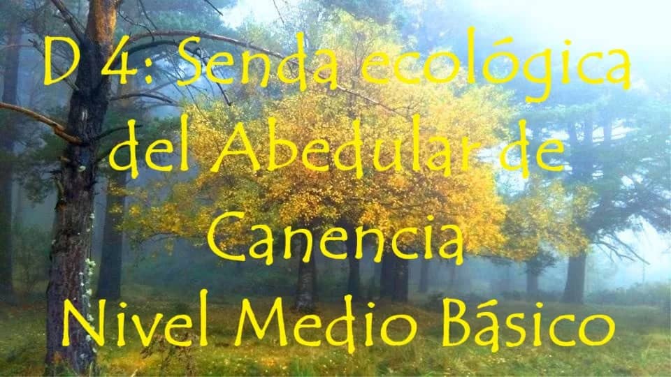 D 4: Senda ecológica del Abedular de Canencia. Nivel Medio Básico.
