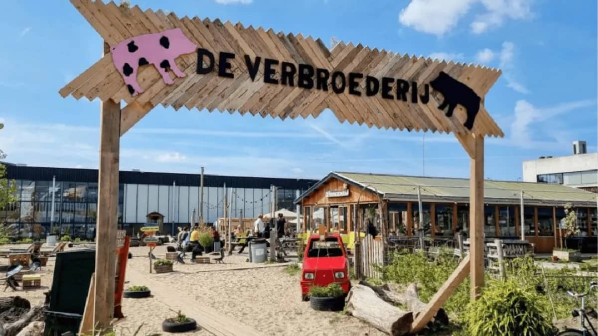 Wat doe je met je opvoeding?