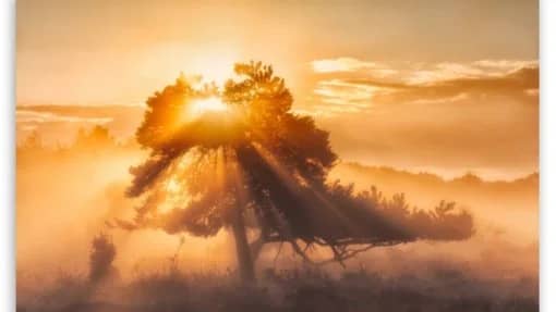 Ask the Spiritual Sage