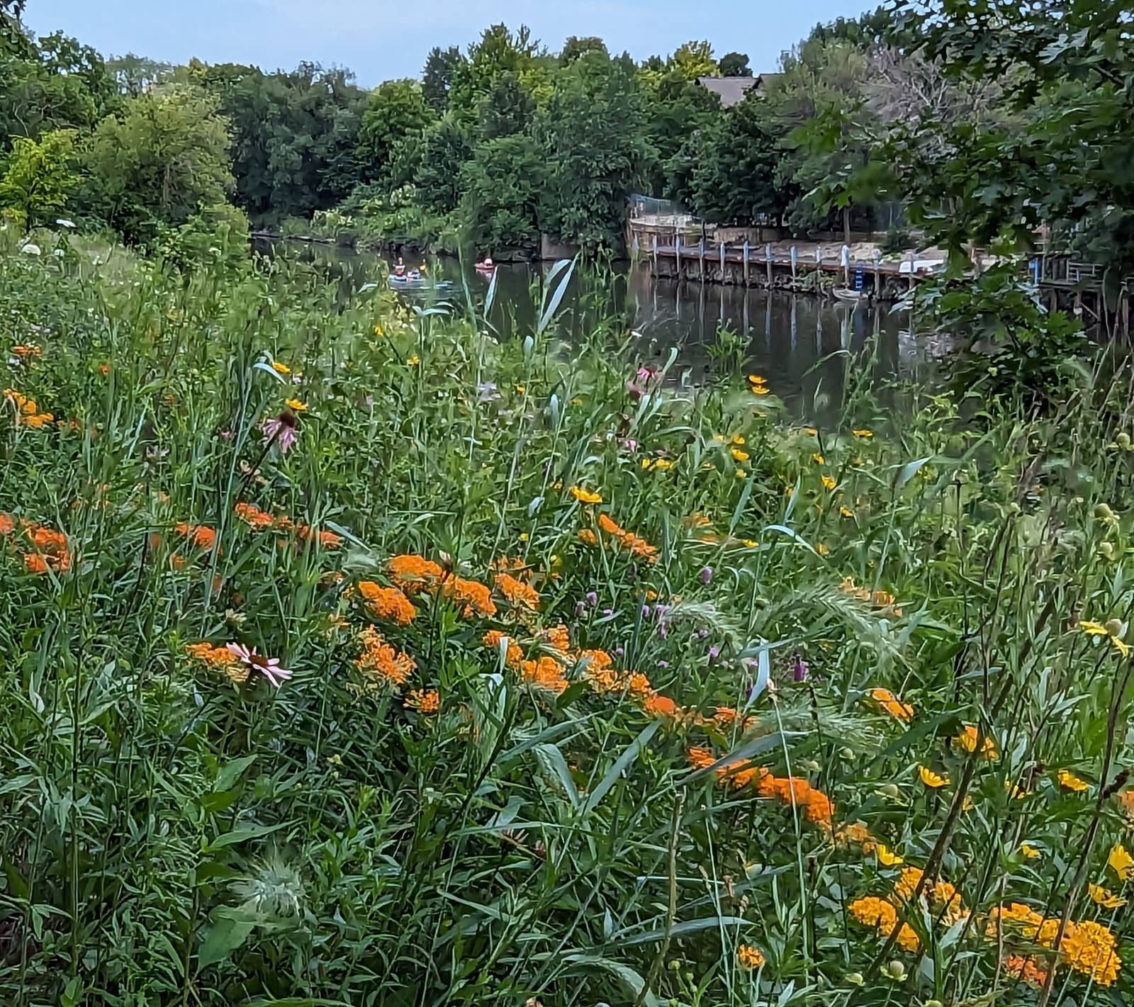 Horner Park and 312 RiverRun Slow Walk