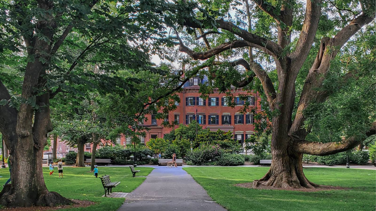 Wednesday Evening Walk