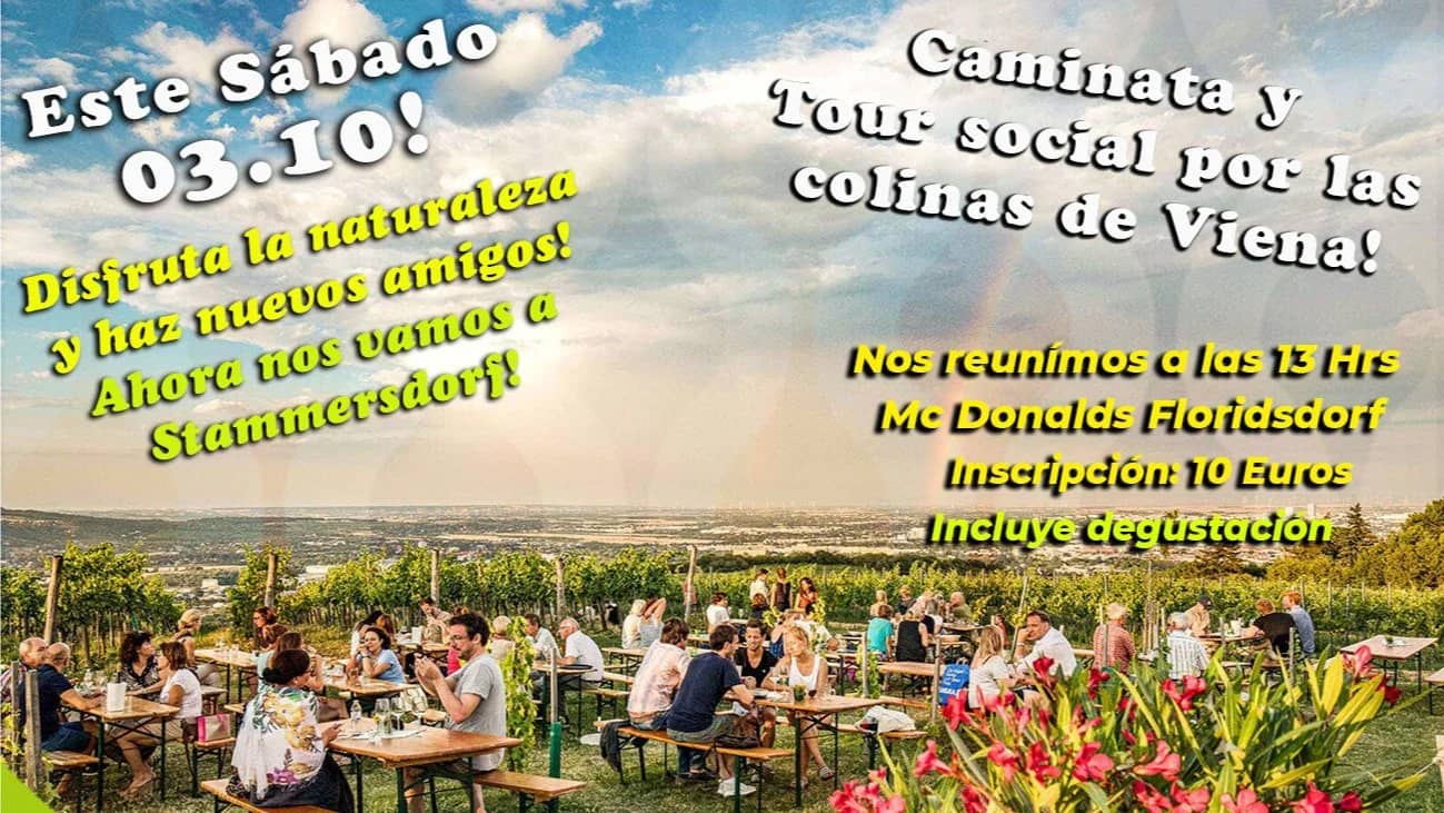 Este sábado! Excursión en español por los viñedos de Stammersdorf!
