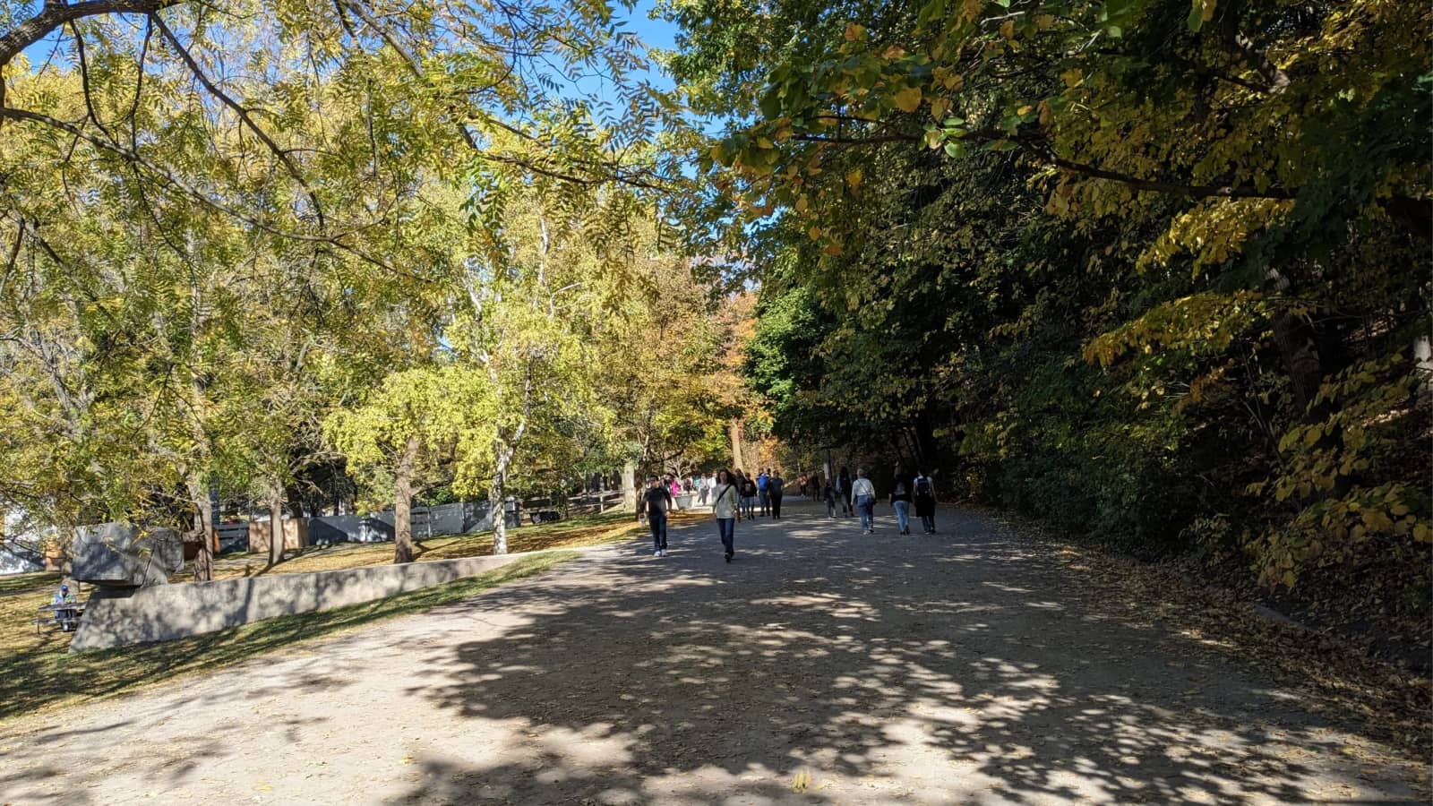 Phone free  Mount Royal Hike / Debranche avec une marche  au Mont Royal