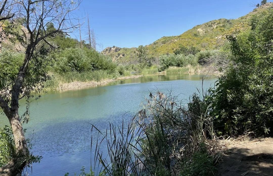 Grassland Trail