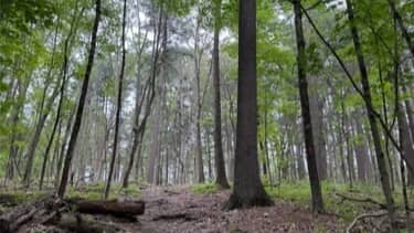 Hike at Middlesex Fells Reservation (Crystal Springs Path)