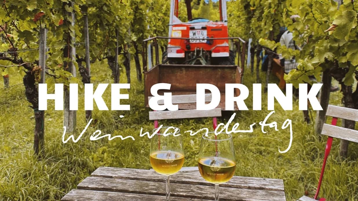 Weinwandertag – Hike & Drink